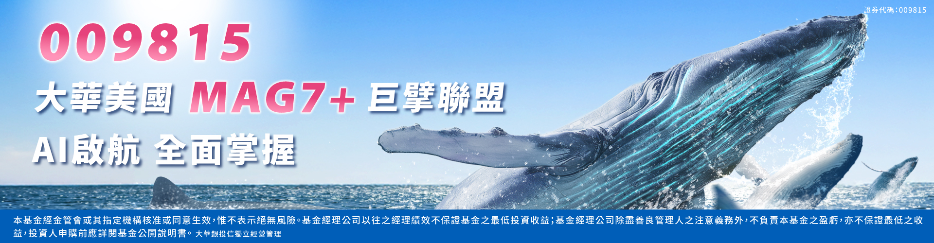 大華投信009815|SKIS 新光證券