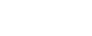 SKIS 財務資訊圖示|年報、財報與公告查詢