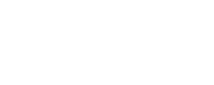 SKIS 公司治理圖示|風險管理與股東權益保障